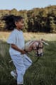 byASTRUP Hobby Horse - Palomino "Spirit" thumbnail