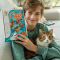 Logic Puzzle - Cats & Boxes thumbnail