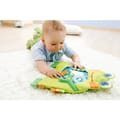 Water Play Mat - Little Frog thumbnail