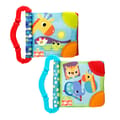 2-in-1 Teethe & Read Soft Book Toy thumbnail