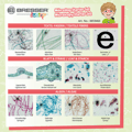 Microscope Accs. - Prepared Slides, 24 pcs thumbnail