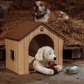 Dog House incl. Bowl & Dog Food thumbnail