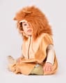 Lion Costume, size 1-4 years thumbnail