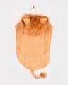 Lion Costume, size 1-4 years thumbnail
