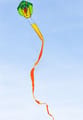 Kite - Cobra Dragon, 10 m Tail thumbnail