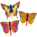 Kite - Butterfly thumbnail