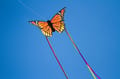 Kite - Butterfly thumbnail