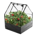 Mini Greenhouse 85x65x65 cm thumbnail