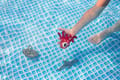 Diving Toy - Sea Animals, 3 pcs thumbnail