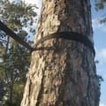 Hammock Tree Suspension Kit (max 205 kg), 2 pcs thumbnail