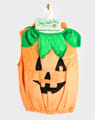 Pumpkin Costume, Size 2-4 Years thumbnail