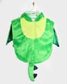 Dragon Costume - Green, size 1-4 years thumbnail