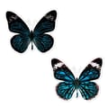 Scratch Art Stickers - Butterflies, 4 pcs thumbnail