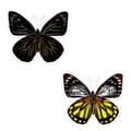 Scratch Art Stickers - Butterflies, 4 pcs thumbnail