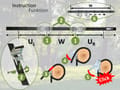 Swing Tree Hanging Strap - Horizontal, 800 cm thumbnail