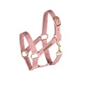 Cheval Roi Accs. - Halter, Antique Rose thumbnail