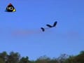 Glider Plane 40 cm thumbnail