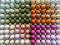 Natural Egg Dye, 5 Colours thumbnail