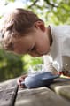 Bug Viewer with Magnifier thumbnail