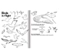 Learn to Draw - Animals thumbnail