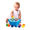 Shape Sorter - Daisy thumbnail
