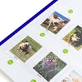 Interactive Board - Record & Play thumbnail