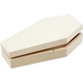 Paint Your Own Halloween Coffin thumbnail
