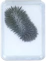Box of Magnetic Iron Filings thumbnail
