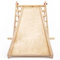 Triclimb Accs. - Miri Slide and Climbing Wall thumbnail
