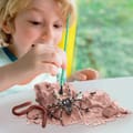 Creepy Crawly Digging Kit thumbnail