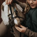 Cheval Roi Accs. - Bridle, Brown/Green Rhinestones thumbnail