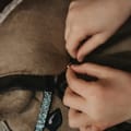 Cheval Roi Accs. - Bridle, Brown/Green Rhinestones thumbnail