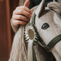 Cheval Roi Accs. - Rosette, Sage Green thumbnail