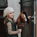 Cheval Roi Accs. - Bit, Silver thumbnail