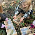 Wooden Discovery Boxes, 3 pcs thumbnail