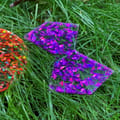 Rainbow Glitter Shapes, 21 pcs thumbnail