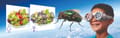 Optical Kit - See the World Through Others' Eyes thumbnail