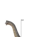 Brachiosaurus - L: 36 cm thumbnail