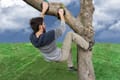 Slackers Tree Climbing Holds thumbnail
