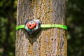 Slackers Tree Climbing Holds thumbnail