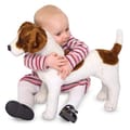 Lifelike Stuffed Animal - Jack Russell Terrier thumbnail