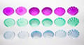 Translucent Tactile Shells, 108 pcs thumbnail