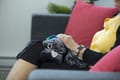 Weighted Therapy Dog - 2 kg thumbnail