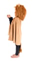 Lion Costume Cape, size 3-8 years thumbnail