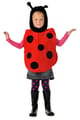 Ladybug Costume, Size 3-7 yrs thumbnail