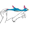 Flingshot - The Hiccupping Chicken thumbnail