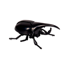 Wind-up Beetle (asstd.), 1 pc