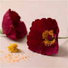 Crepe Paper Mini Kit - Poppies