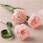 Crepe Paper Mini Kit - Pink Carnations