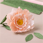 Crepe Paper Mini Kit - Peony Flower